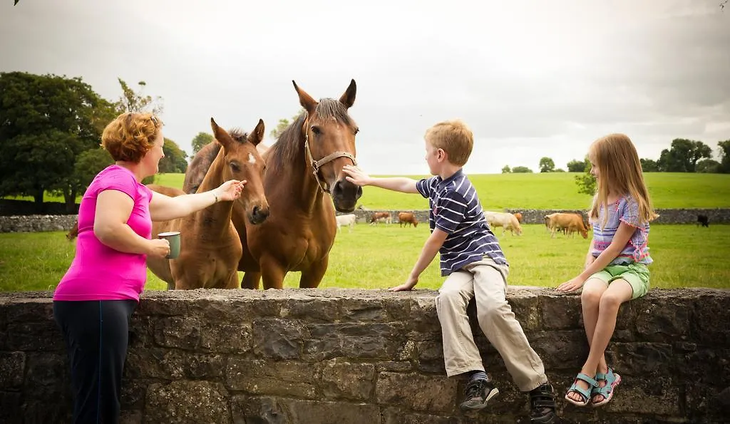 Cahergal Farmhouse B&B Newmarket-on-Fergus Bed & Breakfast