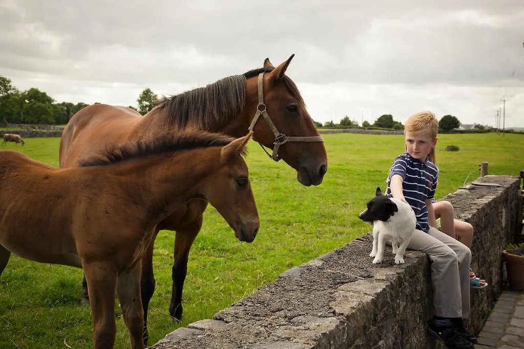 Cahergal Farmhouse B&B Newmarket-on-Fergus 4*,