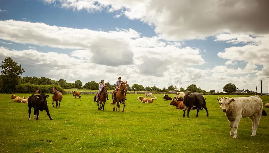 Cahergal Farmhouse B&B Newmarket-on-Fergus Bed & Breakfast