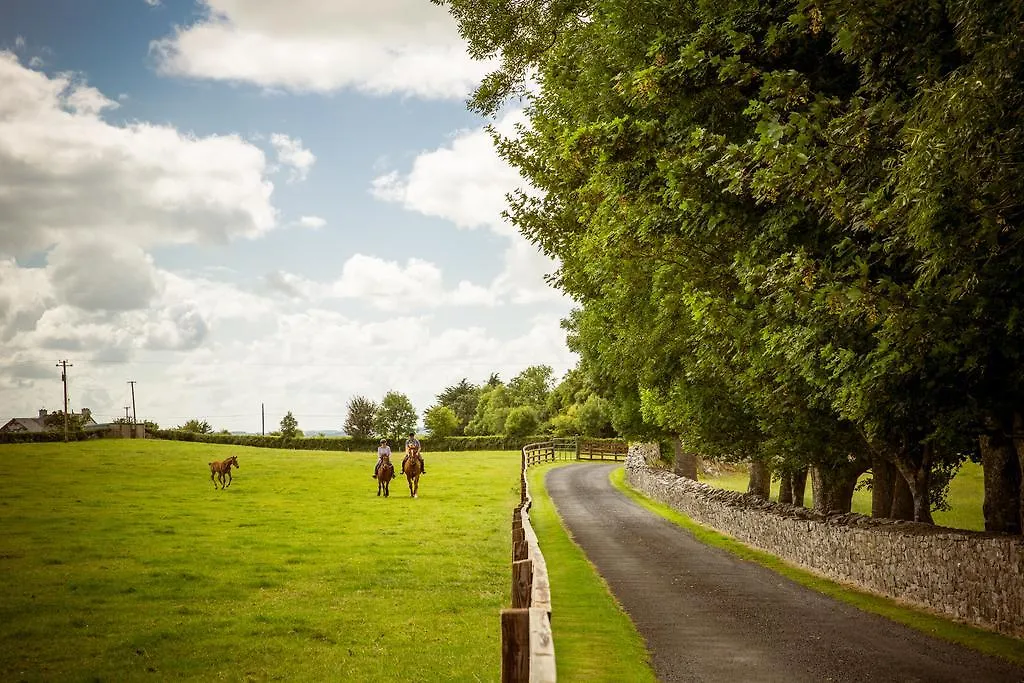 **** Bed & Breakfast Cahergal Farmhouse B&B Newmarket-on-Fergus Ireland