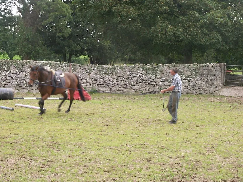 Cahergal Farmhouse B&B Newmarket-on-Fergus 4*,  Ireland